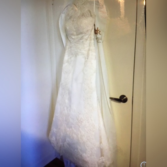 Pronovias Designer Wedding Dress - Picture 3 of 8